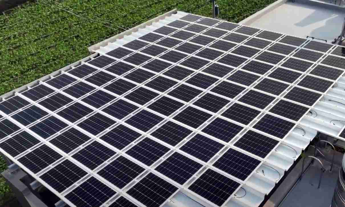 巨星国际SunSteel光电浪板升级双玻结构，，以提升机械负载强度及气候耐候度，，可广泛运用于多元场域